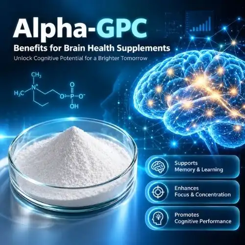 Alpha-GPC Benefits for Brain Health Supplements
